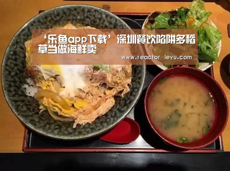 乐鱼平台最新版本