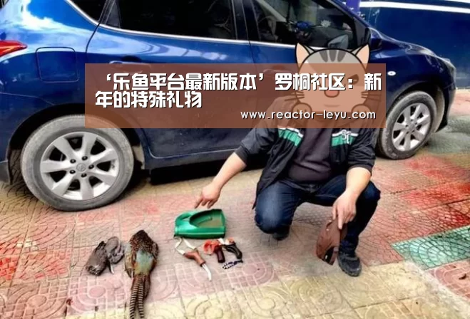 乐鱼app下载