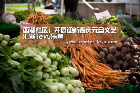 leyu乐鱼