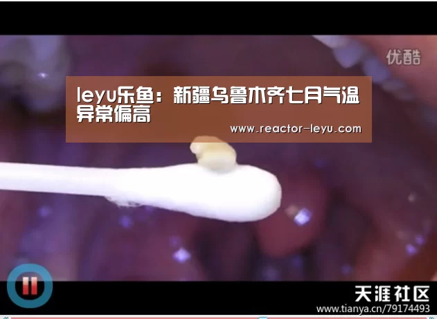 乐鱼官方网站入口