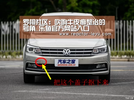 leyu乐鱼